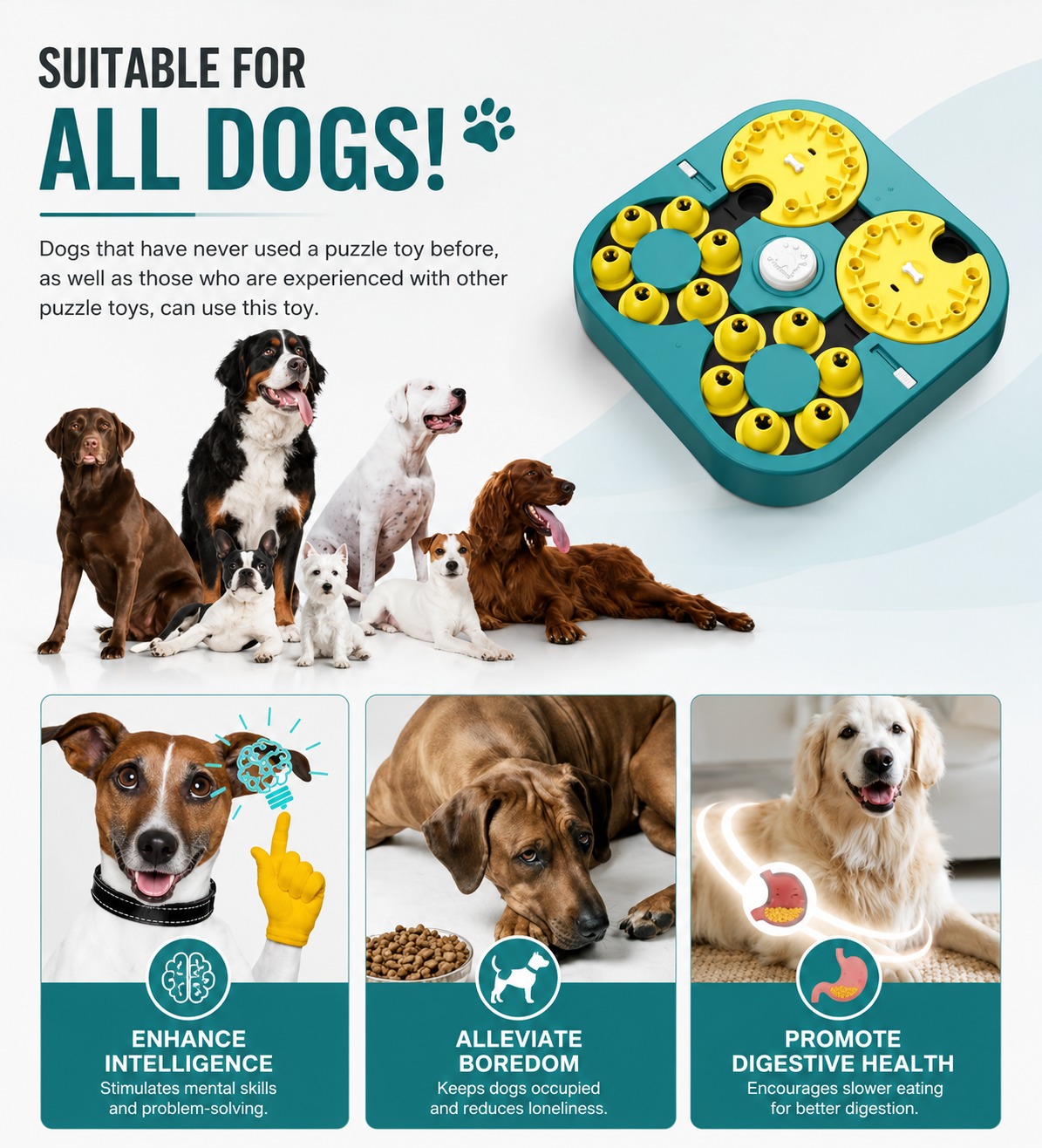Level Dog Puzzle Toy– 6-in-1 Mental Stimulation Game for Smart Dogs