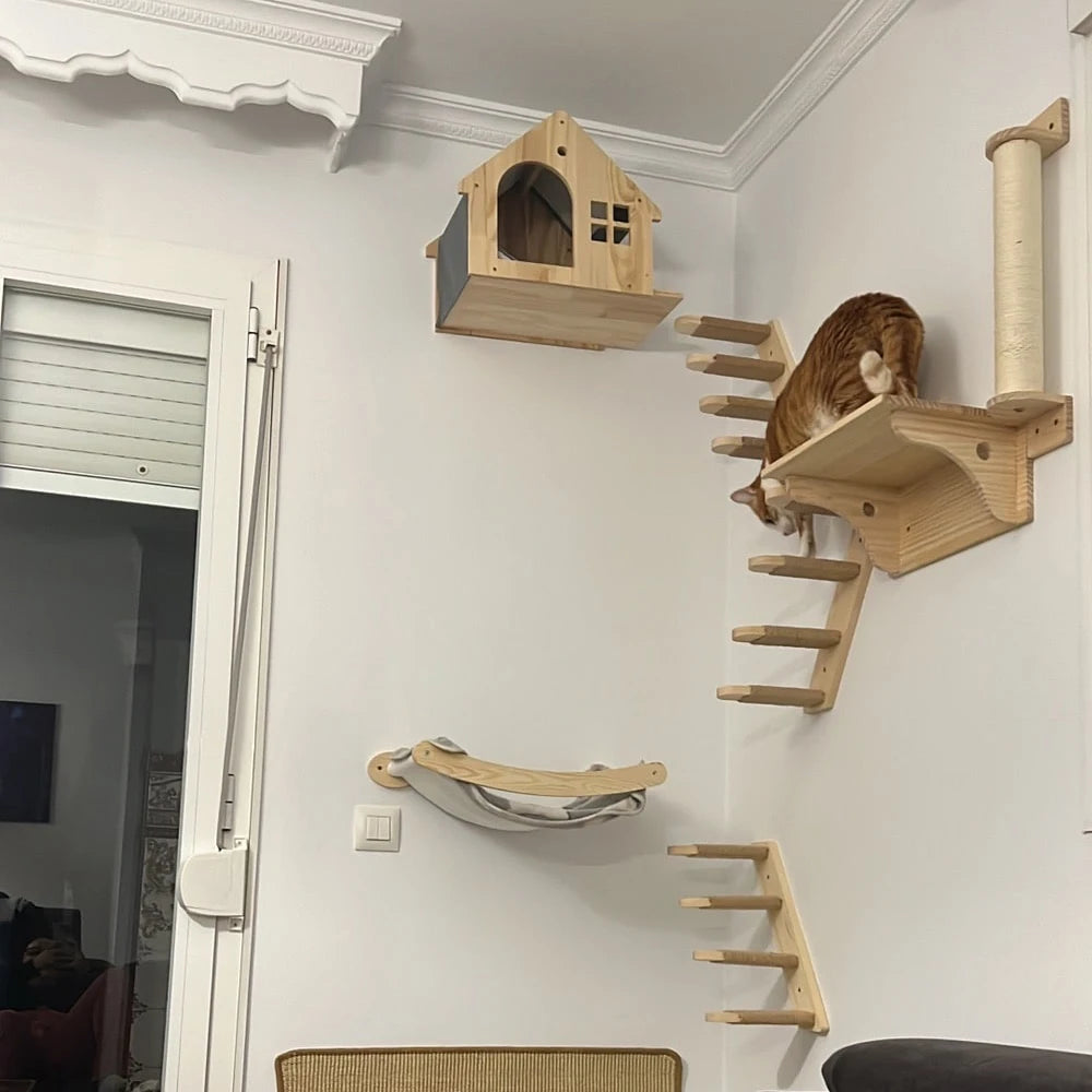“Kitty Climb & Chill – Wall Set with Bridge”