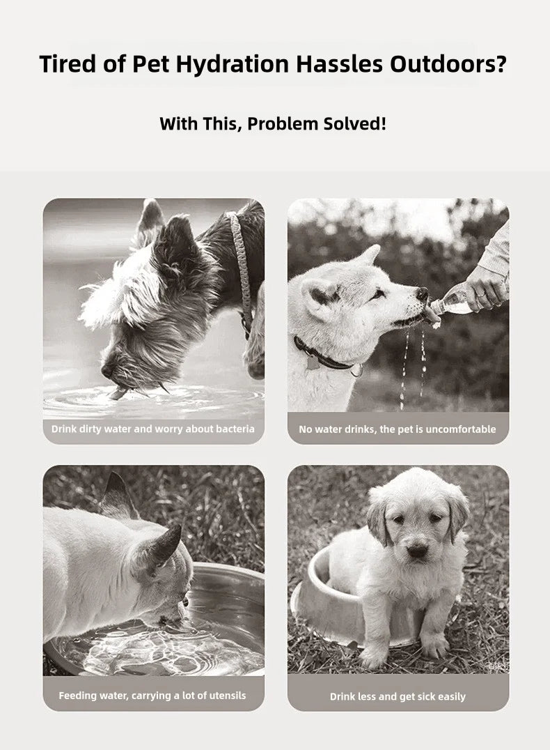 “PawTumbler – Travel Water Bottle for Dogs”