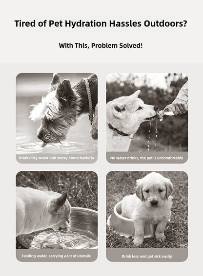 “PawTumbler – Travel Water Bottle for Dogs”