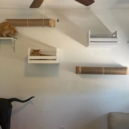“Kitty Climb & Chill – Wall Set with Bridge”