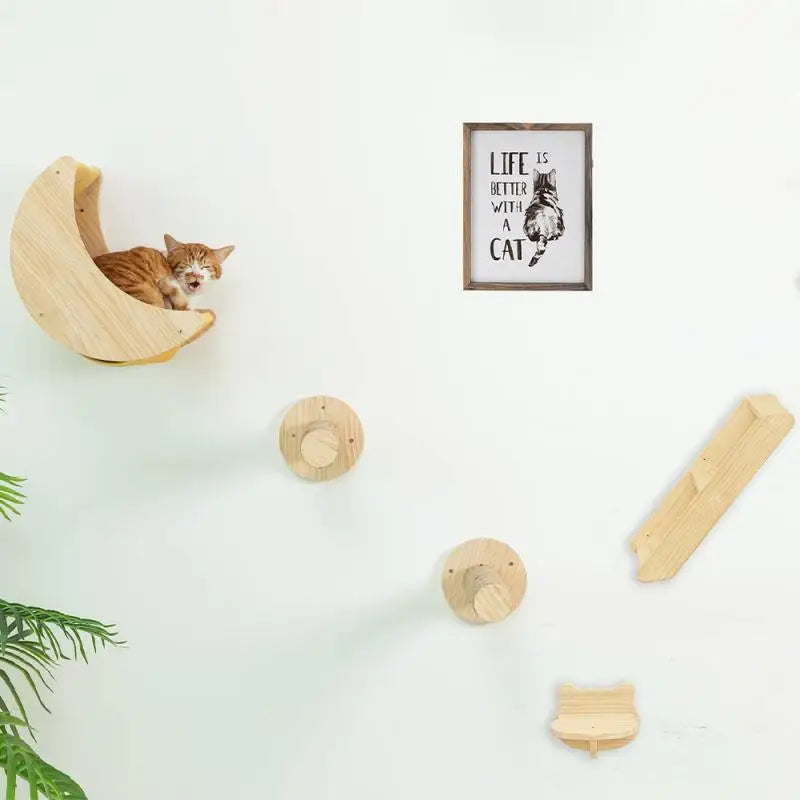 “Purrfect Wall Fun – Cat Hammock & Climber”