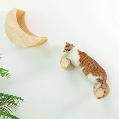 “Purrfect Wall Fun – Cat Hammock & Climber”