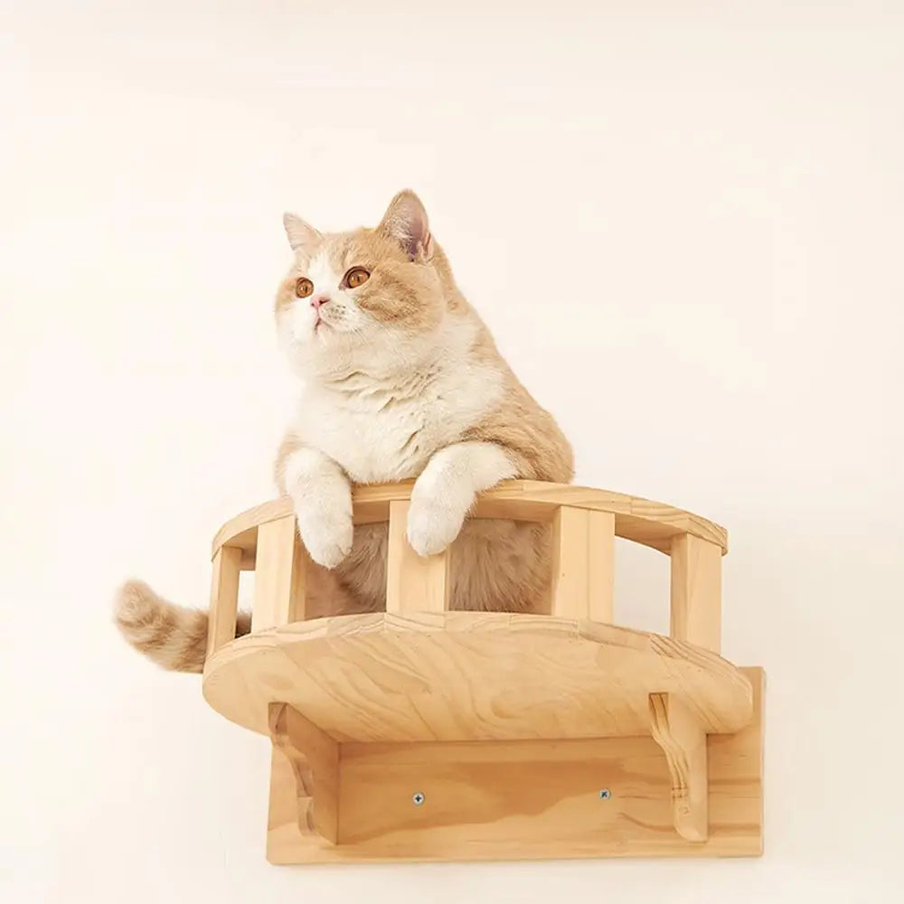“Purrfect Wall Fun – Cat Hammock & Climber”