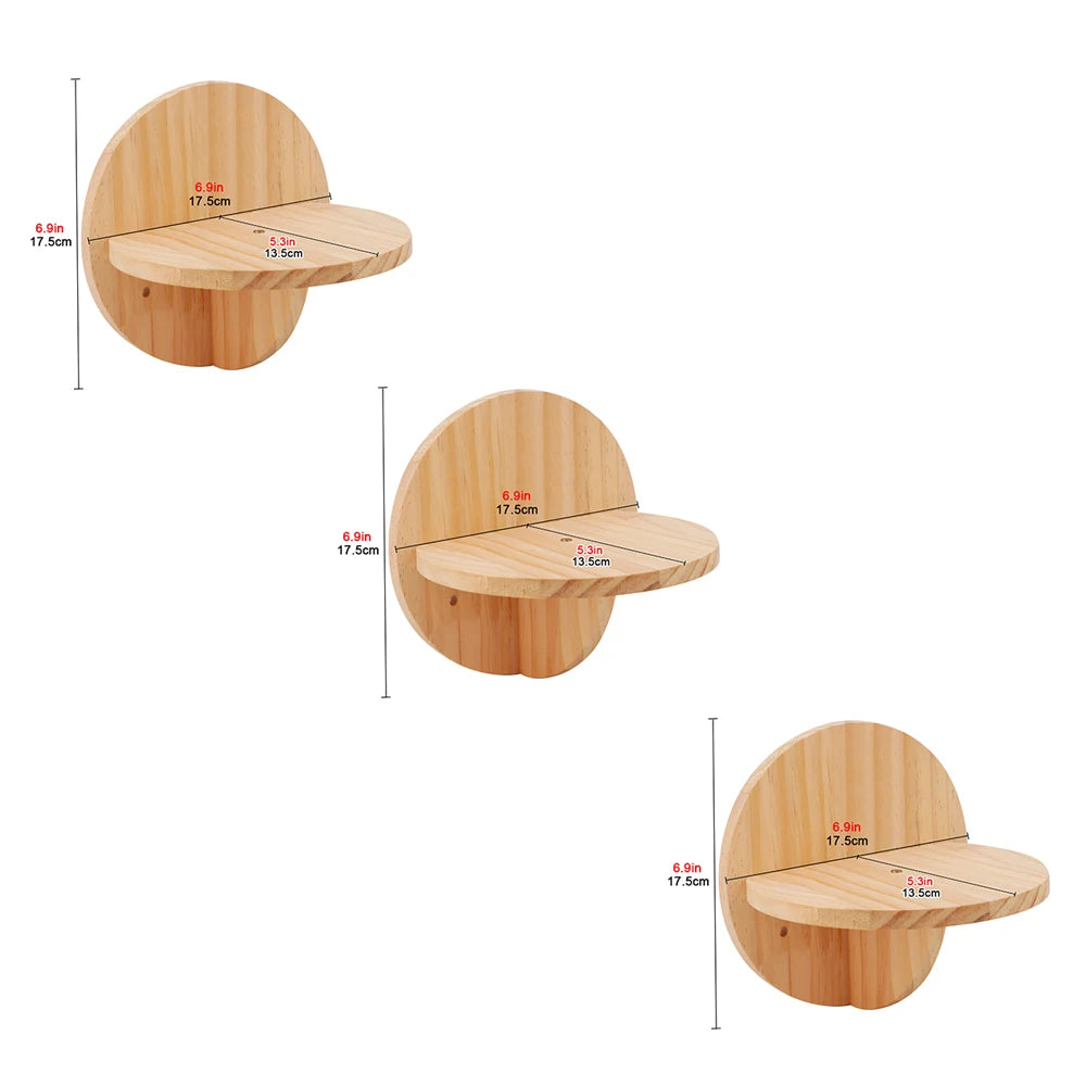 “Kitty Climb & Chill – Wall Set with Bridge”