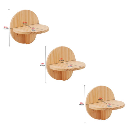 “Kitty Climb & Chill – Wall Set with Bridge”