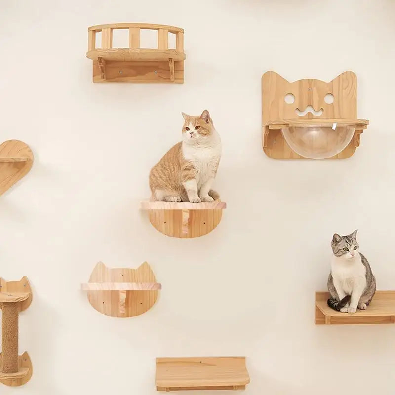 “Purrfect Wall Fun – Cat Hammock & Climber”
