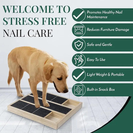 Nail Scratching Pad for Dogs with Sandpaper Surface and Treat Box