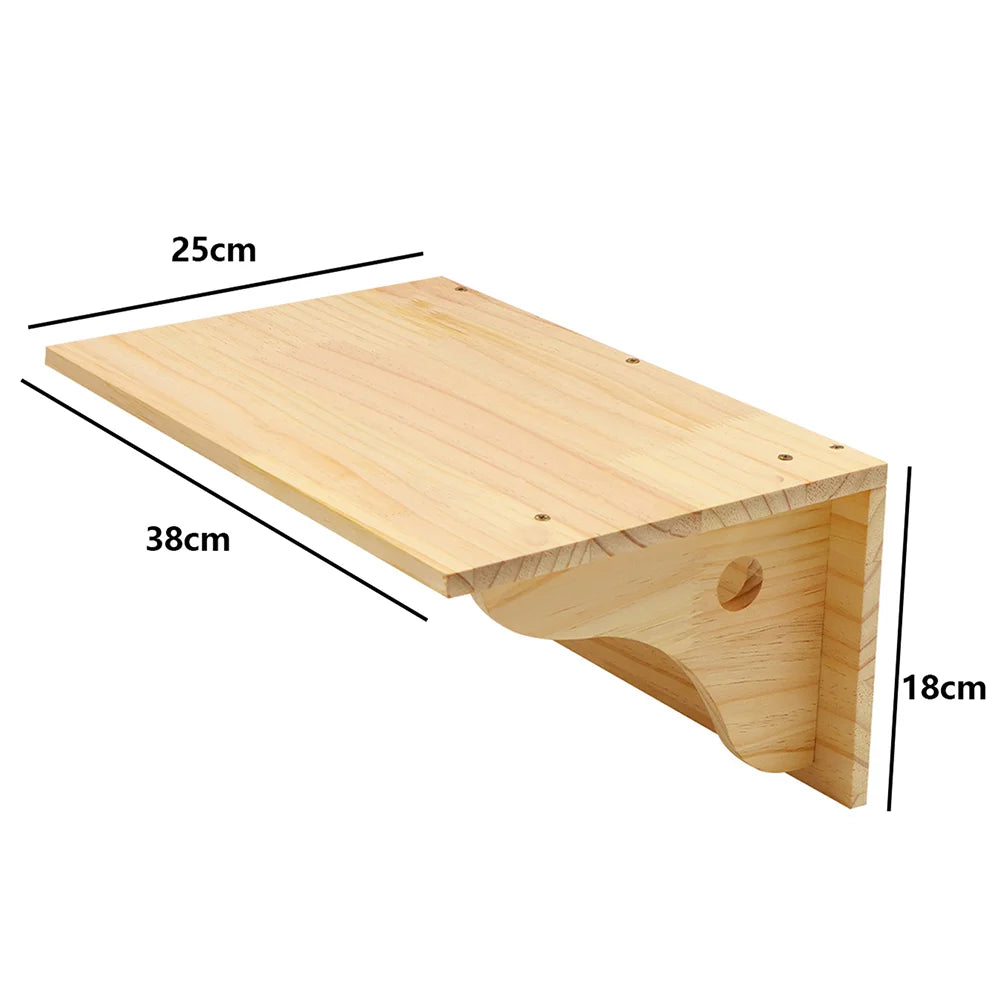 “Purrfect Wall Fun – Cat Hammock & Climber”