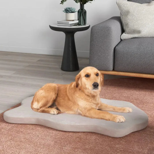 Orthopedic Dog Bed – Memory Foam Support for Large Dogs