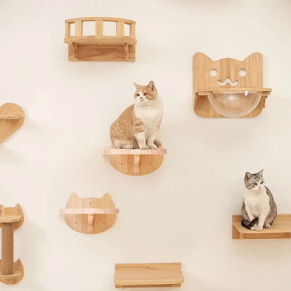 “Purrfect Wall Fun – Cat Hammock & Climber”
