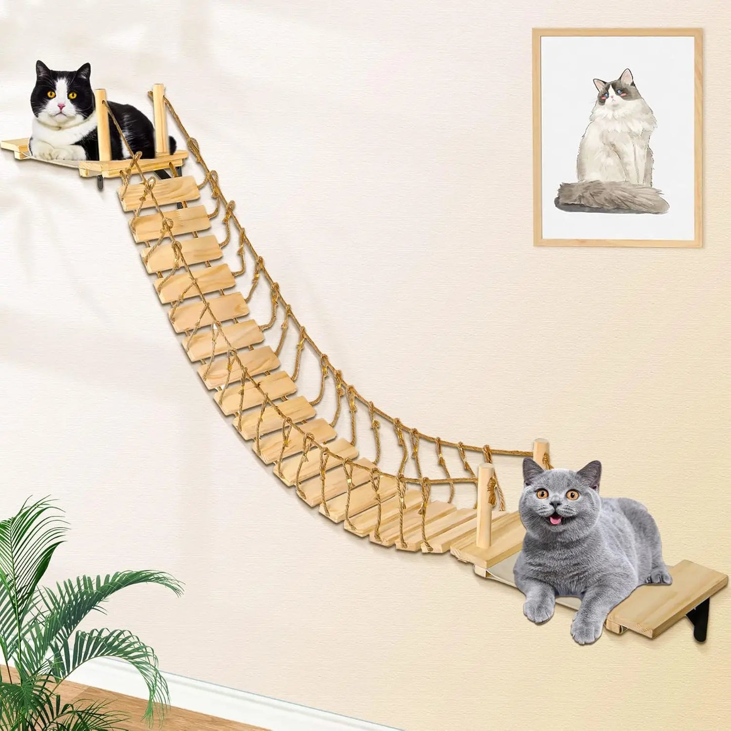 “Wall Cat Perch – Bridge, House & Climbing Fun”