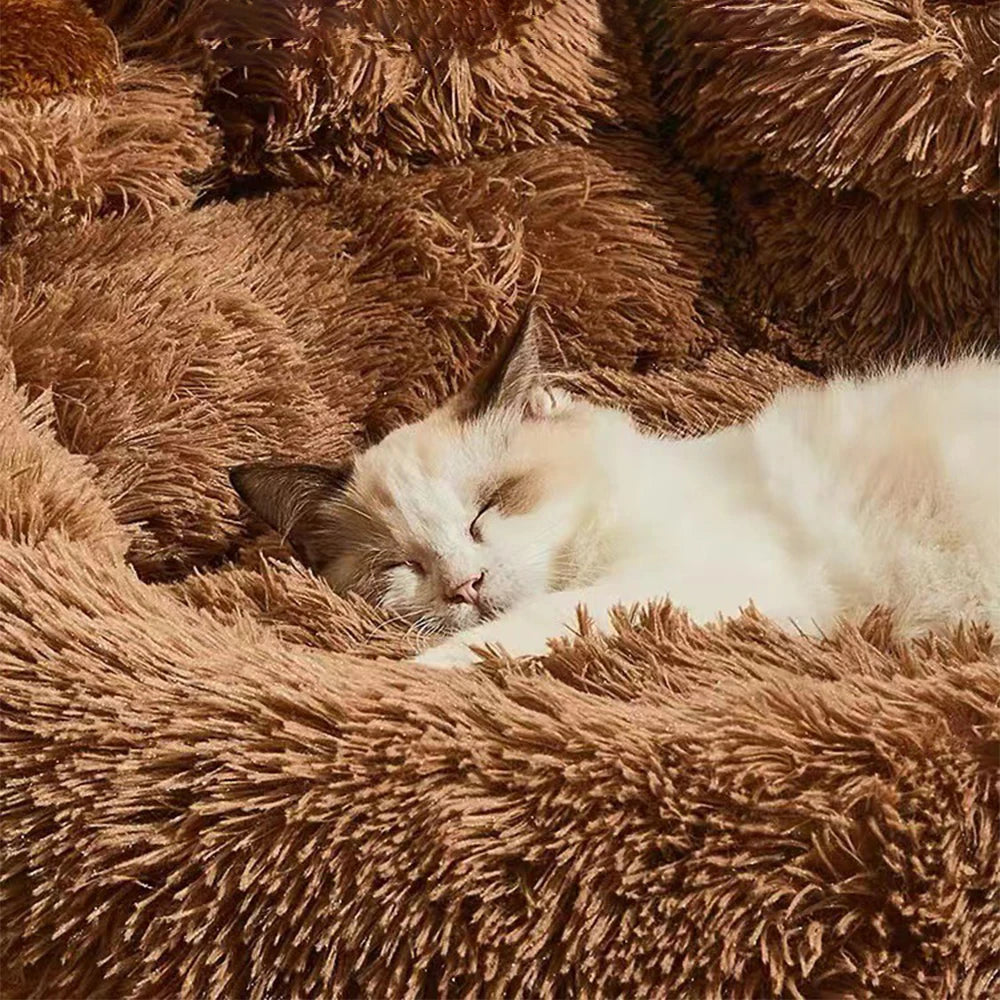 “CozyPaws Sofa Bed – For Small to Large Pets”