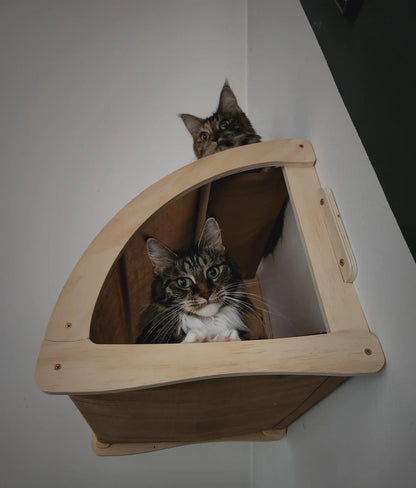 “Wall Cat Perch – Bridge, House & Climbing Fun”