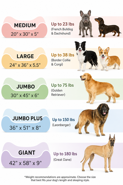 Orthopedic Dog Bed for Large Dogs (Up to 75 lbs) – Removable Washable Cover, Ultra Plush Faux Fur & Suede