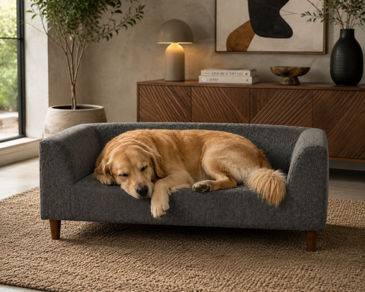 Modern Pet Sofa Bed with Soft Cushion for Small & Medium Dogs
