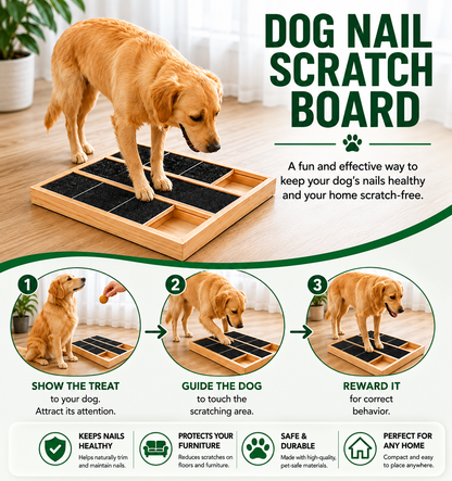 Nail Scratching Pad for Dogs with Sandpaper Surface and Treat Box