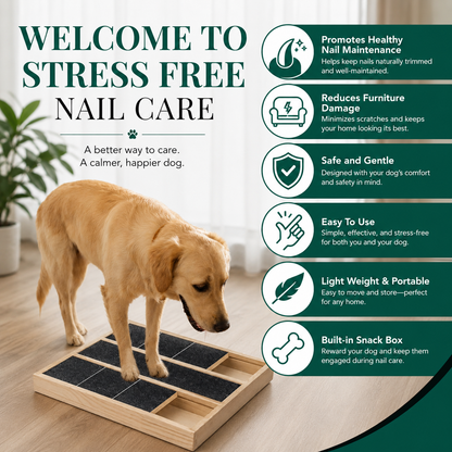 Nail Scratching Pad for Dogs with Sandpaper Surface and Treat Box
